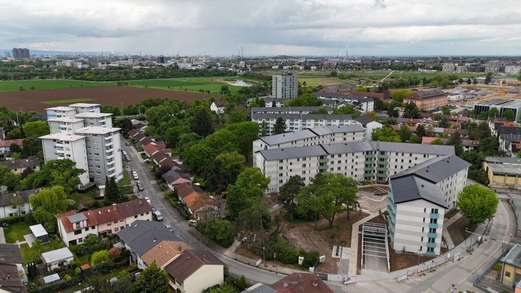 Wirtschaftsstandort Mannheim: Erfolgsfaktoren im Herzen Rhein-Neckar