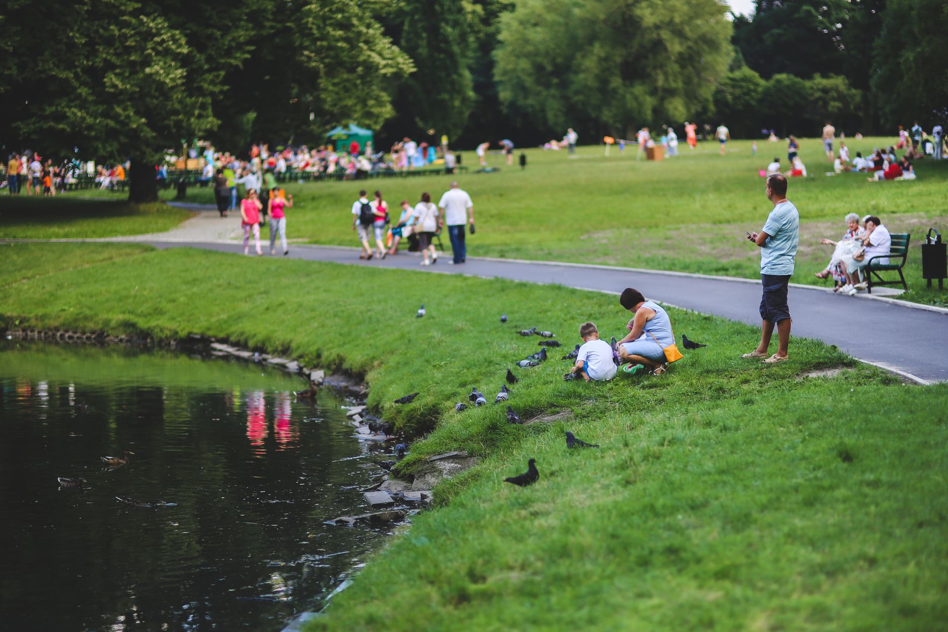 A tranquil summer day in a park with families enjoying leisure activities by a pond.