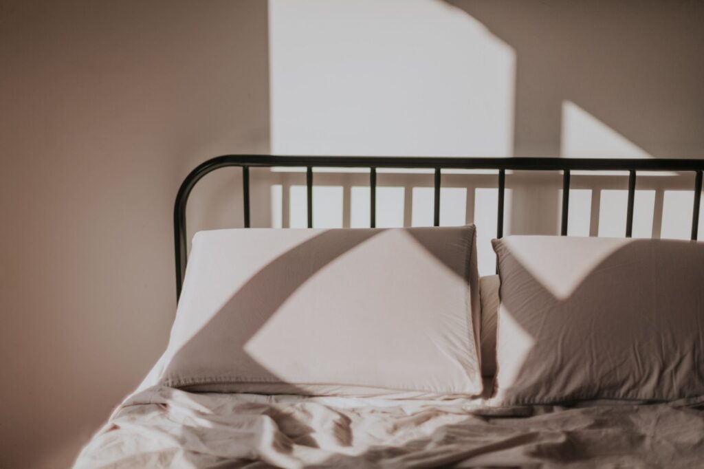 Bettwanzen beim Wohnungskauf in Wien erkennen